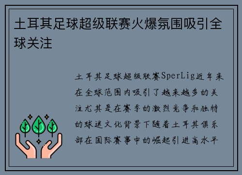 土耳其足球超级联赛火爆氛围吸引全球关注
